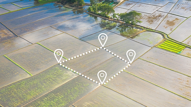 Новеллы, предусмотренные Федеральным законом от 31 июля 2025 г. № 295-ФЗ, вступившим в силу 1 марта 2026 года (Информация Росреестра от 02 марта 2026 г.